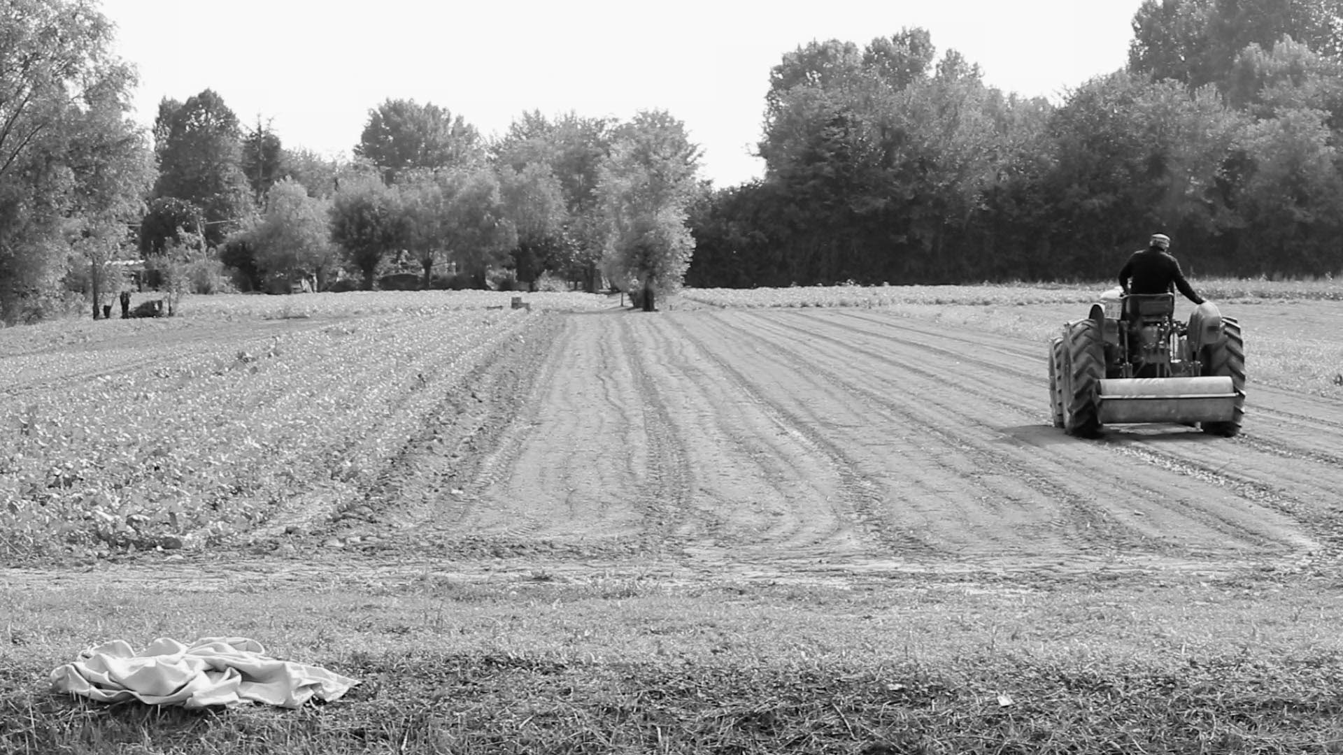 azienda_inizio_saporidiquaggio
