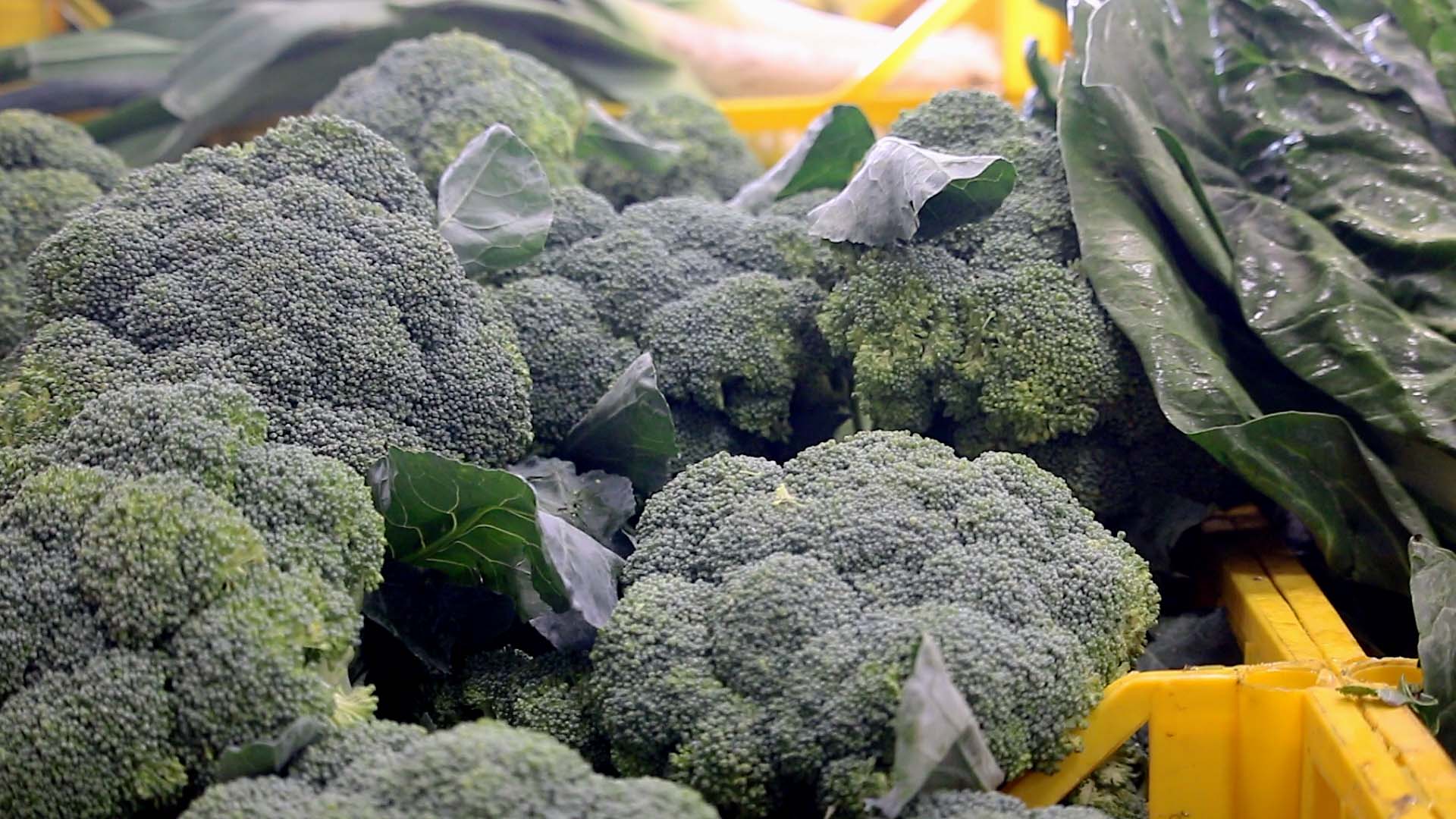 negozio10_broccoli_saporidiquaggio